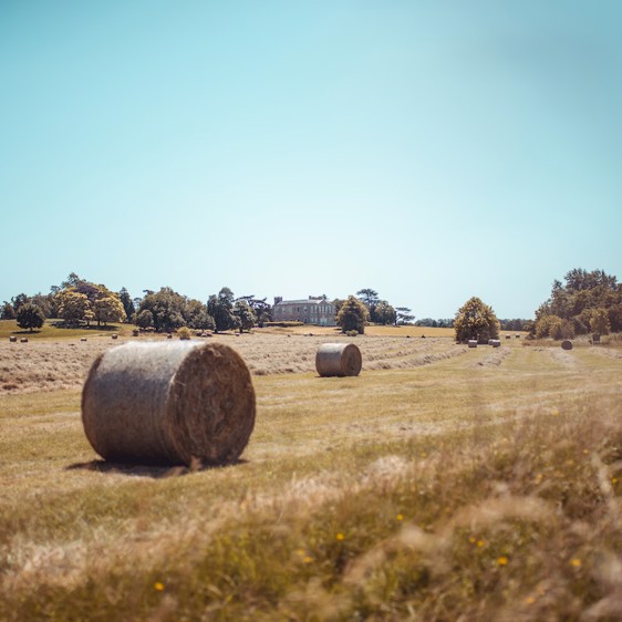 claydon courtyard & estate
