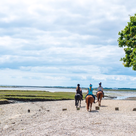 Seaside, ponies and Forest Trails