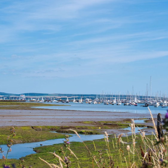 Seaside, ponies and Forest Trails