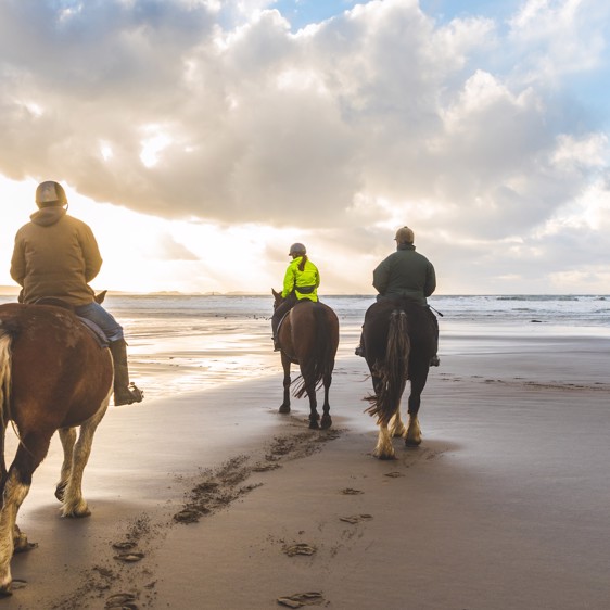 Seaside, Trails, Cycling and Corfe Castle