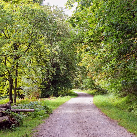 Standinghall Estate