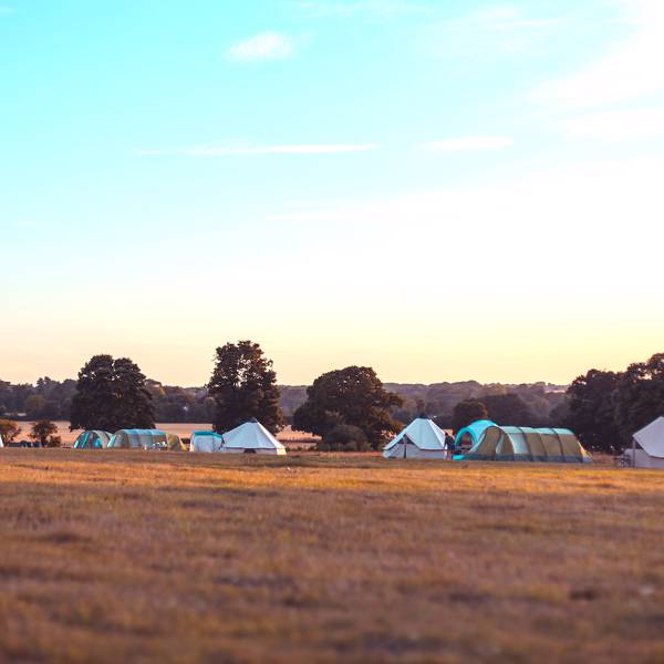 Large grass pitches