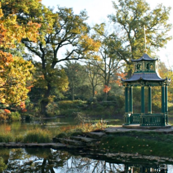 Local attractions 