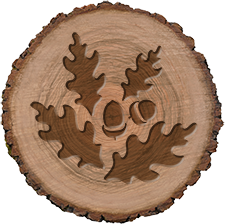 How to get here  Icon